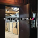 Yoga i stallet